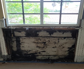 Mold Treatment Service Near Me